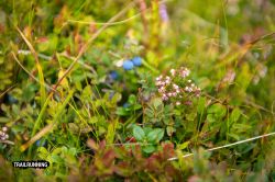 2022-08-20 Koralm Trailrunning Event 2022 - DSC_4044